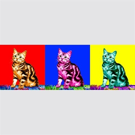Pop Art 3 Panels from Photos - myDaVinci